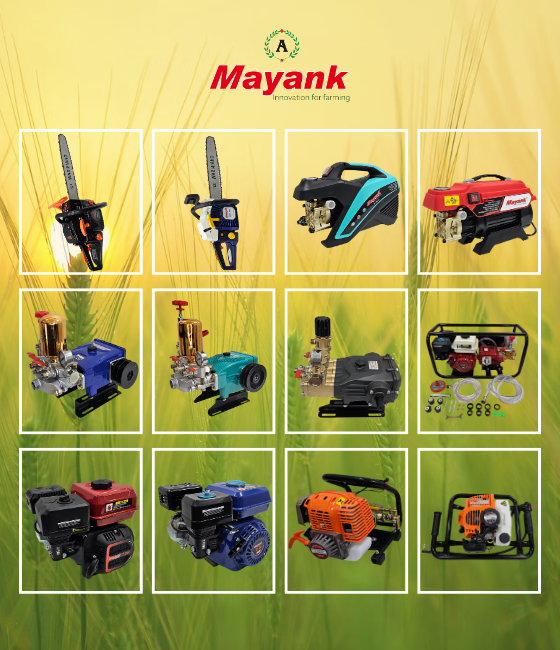 Vishal Agro Industries